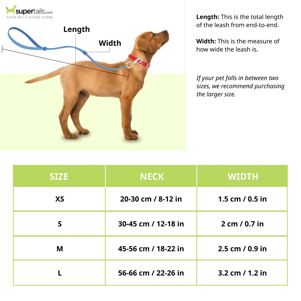 Glucklich Classic Nylon Martingale Adjustable Collar for Dogs (Beige)