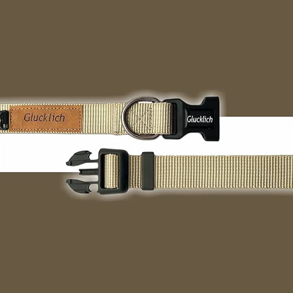 Glucklich Classic Nylon Martingale Adjustable Collar for Dogs (Beige)