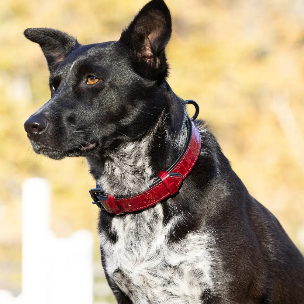 Halter Ego Breanna Red Croc Leather Dog Collar