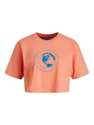 Jxnatalie Ss Relaxed Tee - Roest