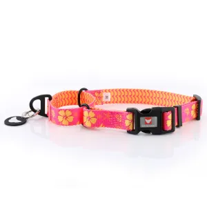 Tropical Party Premium Training Dog Collar